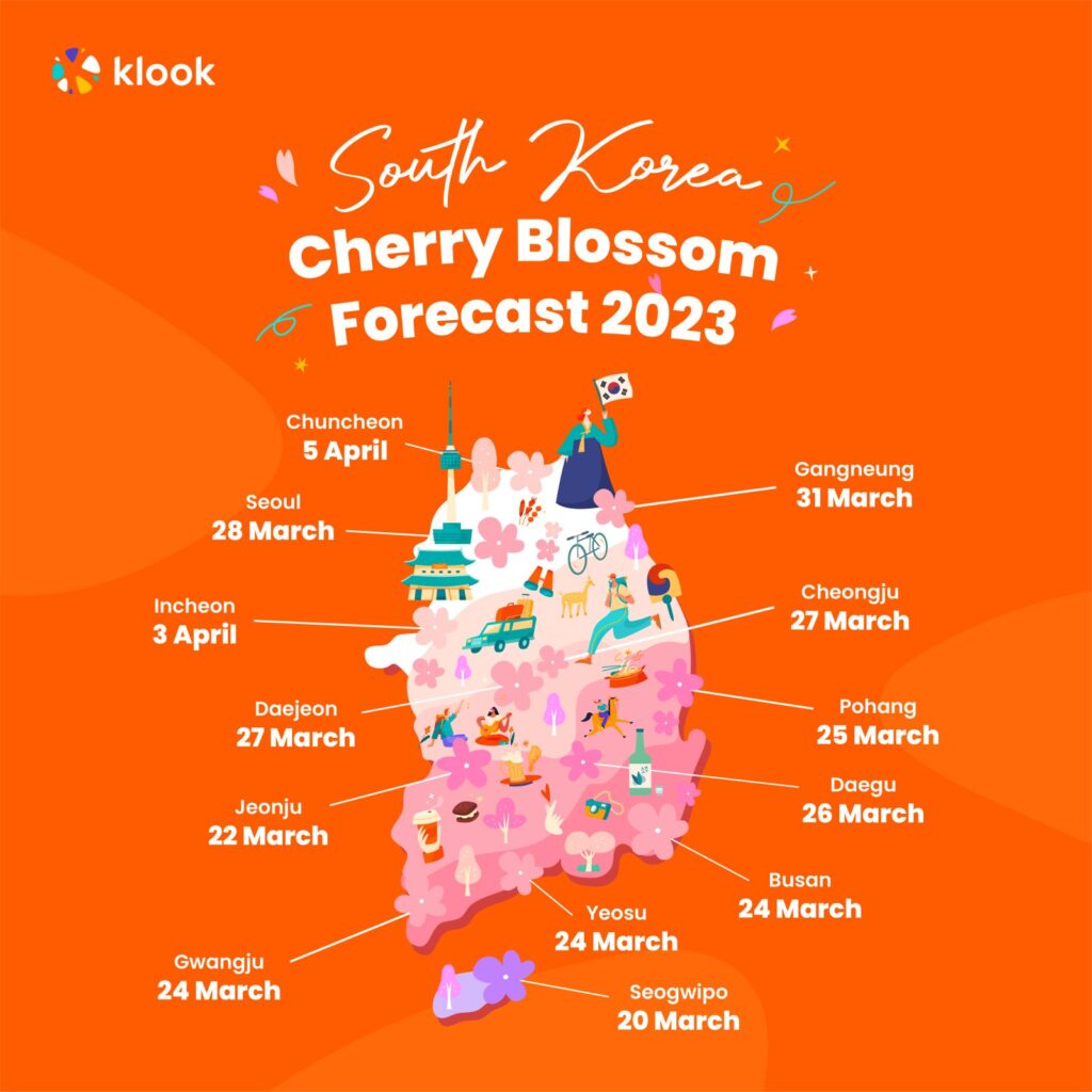 South Korea cherry blossom forecast 2023