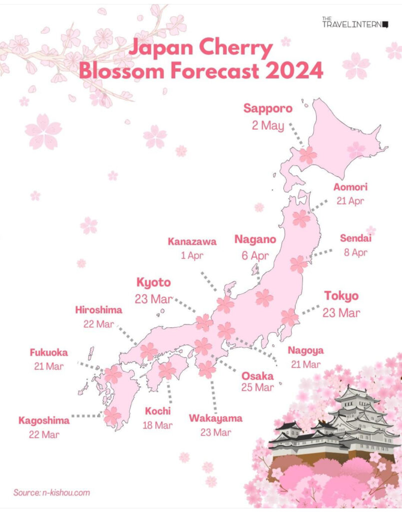 Japan cherry blossom 2024 map