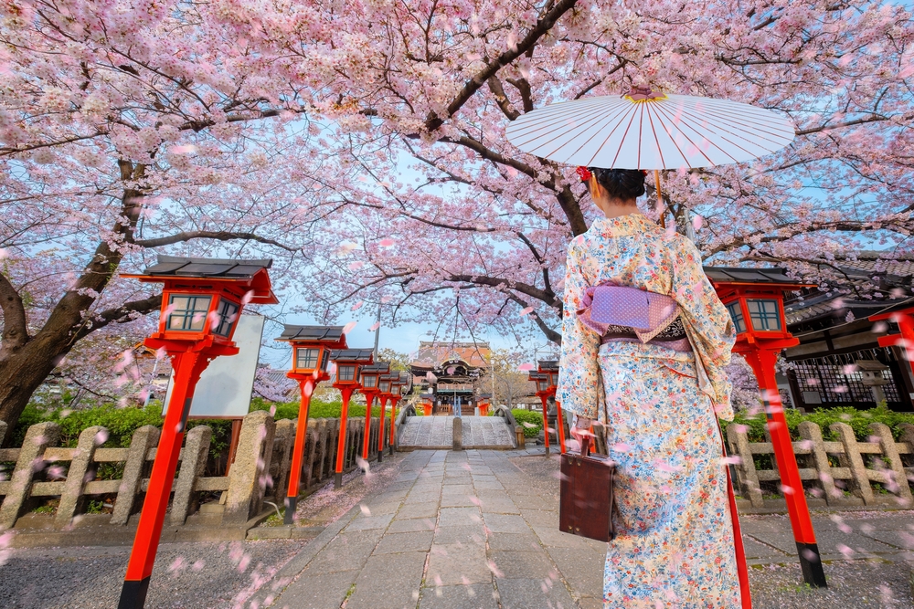 Kyoto cherry blossoms