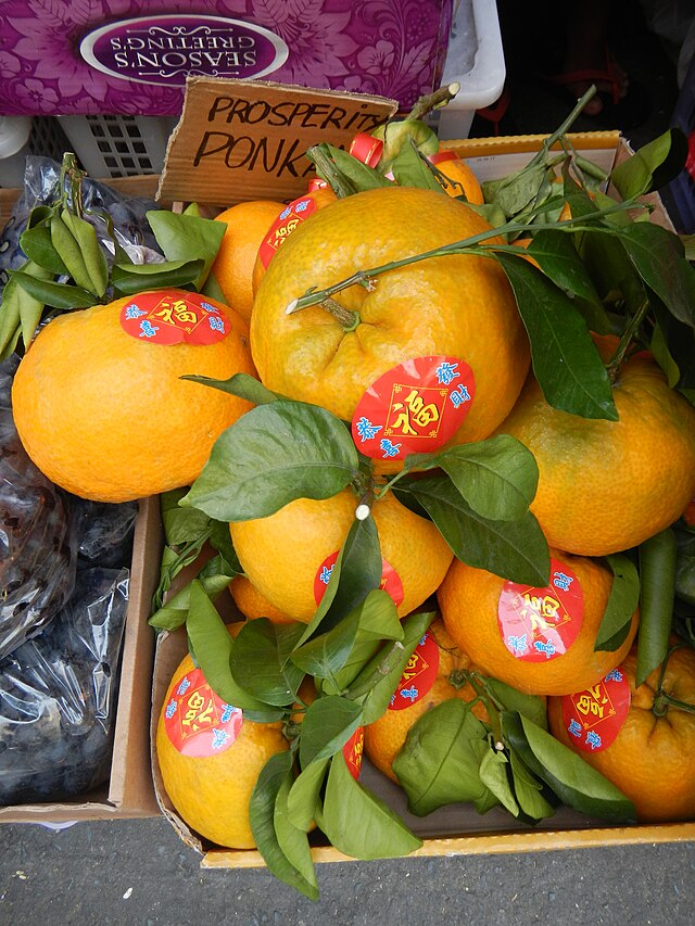 Chinese New Year Tangerines and Oranges