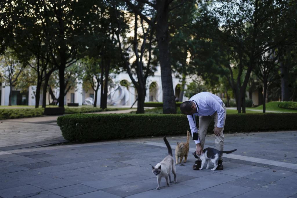 cats of Mexico's National Palace with resident vet Jesus Arias