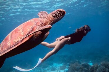 Diving spots Philippines