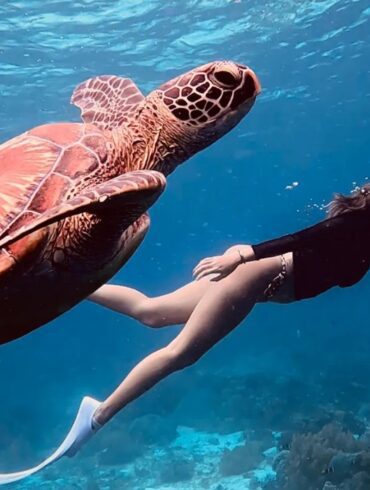 Diving spots Philippines