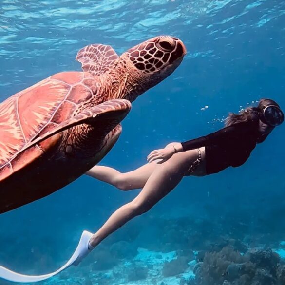 Diving spots Philippines