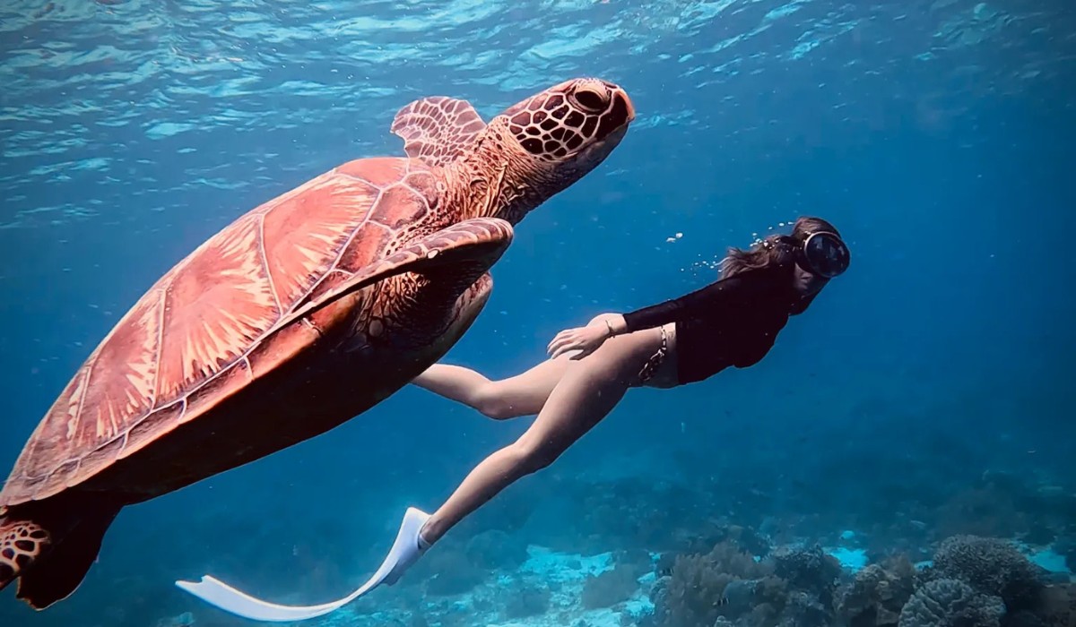 Diving spots Philippines