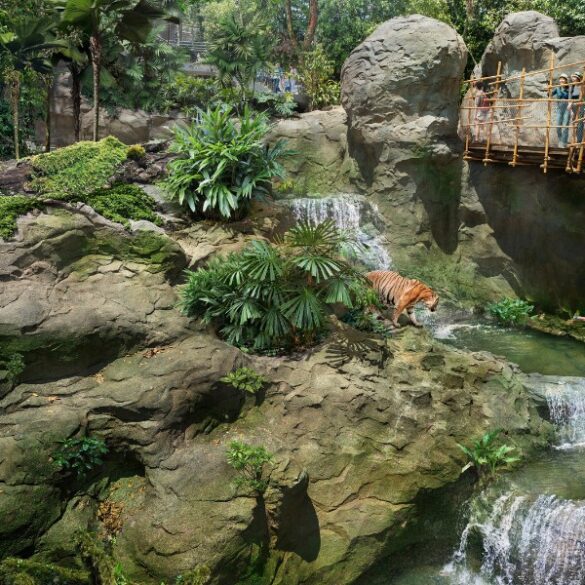 singapore rainforest wildlife