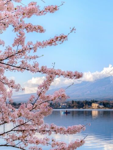 Japan cherry blossom photo spots