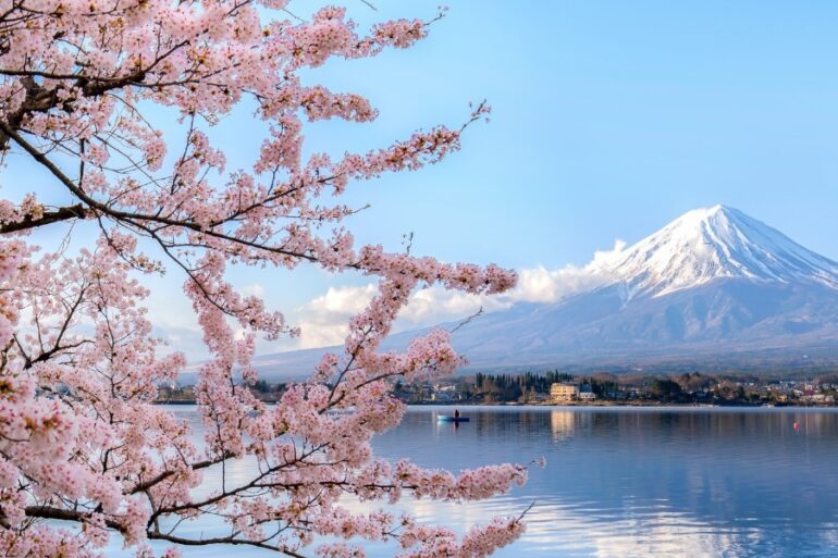 Japan cherry blossom photo spots